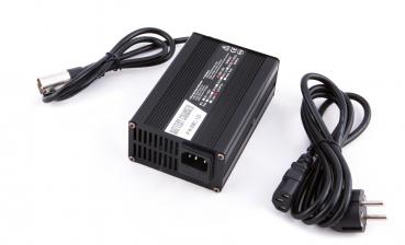 Batterie 48V 20Ah LiFePo4 Akkupack (Lithium)