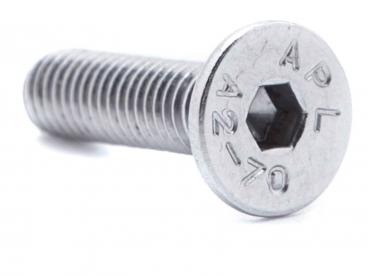 Inbus Senkkopfschraube M5 x 19 mm