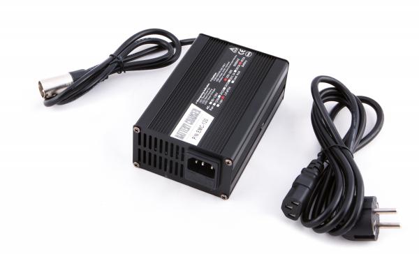 Batterie 48V 20Ah LiFePo4 Akkupack (Lithium)